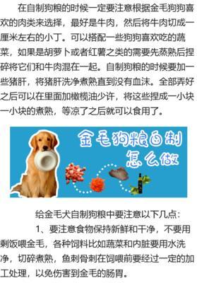 金毛感冒应该吃什么？（金毛感冒食物推荐及预防措施）