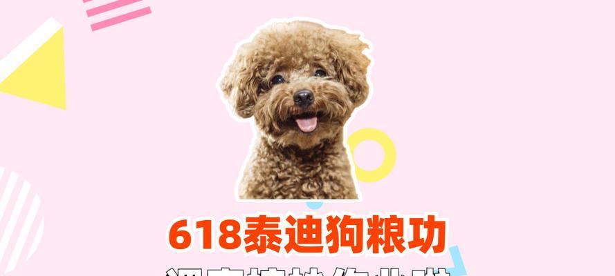 泰迪两岁饮食指南（科学喂养让宠物犬健康成长）