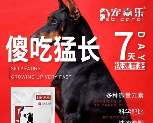养狗儿壮壮胖胖的秘诀（狗狗的营养需求及食谱推荐）