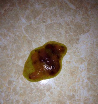 探究小狗细小病菌及其对健康的影响（了解细小病菌的种类和传播途径，保护宠物和人类的健康）