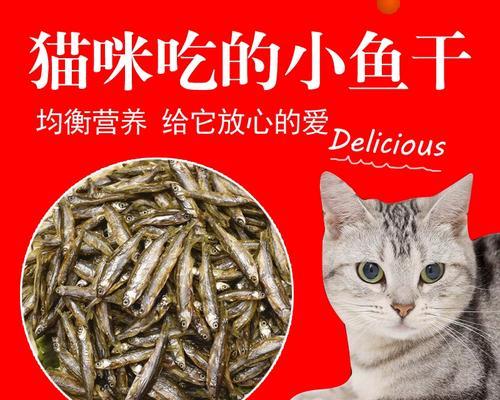 幼猫的磨牙问题解决方法（探究幼猫磨牙的原因及正确的磨牙食物选择）