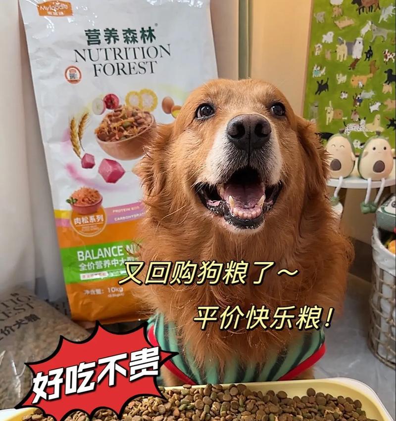 除了狗粮，小狗还可以吃什么？（小狗的饮食搭配与健康）