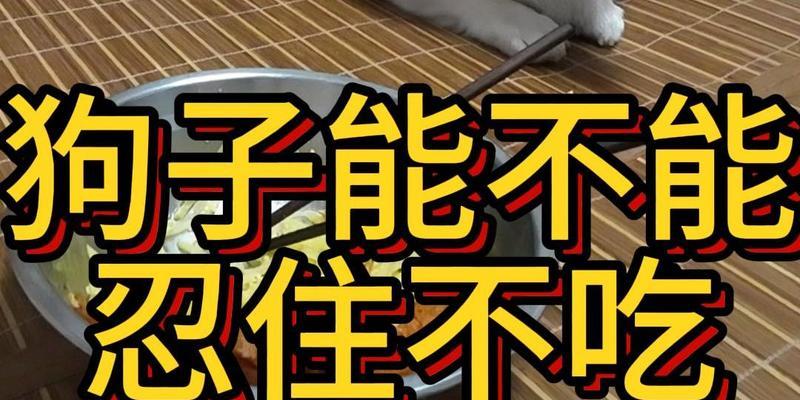 狗狗为何突然不吃食物？（探究狗狗拒食的原因及应对方法）