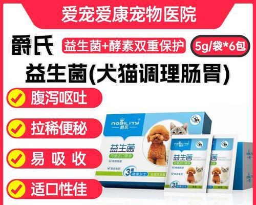 泰迪狗食欲不振的原因及处理方法（探究泰迪狗食欲不振的可能原因以及应对措施）