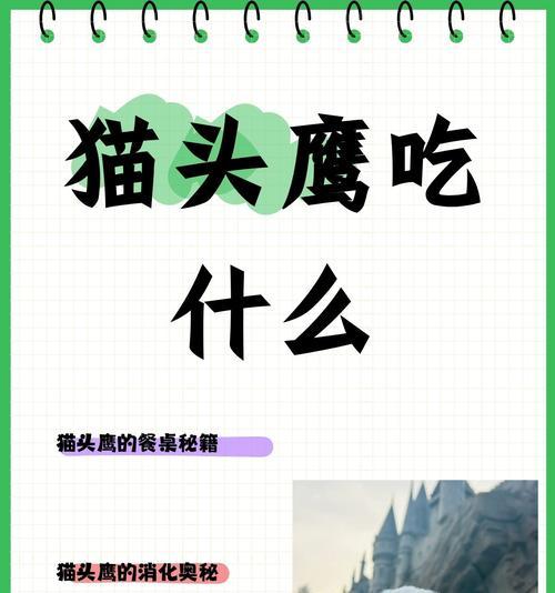 鸟类的食物选择及其影响（探索鸟类食物链的奥秘）