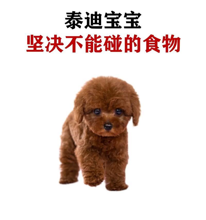 狗的饮食禁忌（保护宠物健康的必读指南）