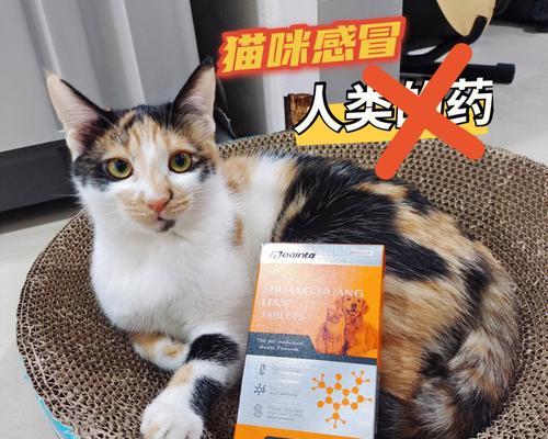 给猫吃什么感冒冲剂好？（为你的病猫选择合适的感冒冲剂）