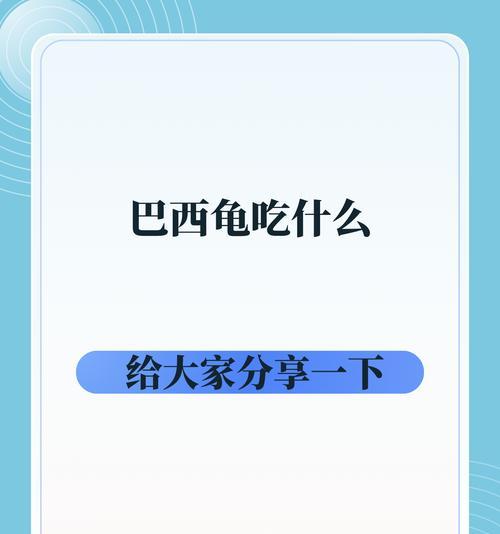 小彩龟的食物选择与健康（探索小彩龟的饮食习惯及合理搭配）