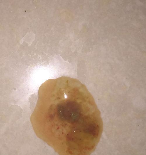 狗拉稀拉血的原因及处理方法（了解狗拉稀拉血的常见原因和正确处理方法）