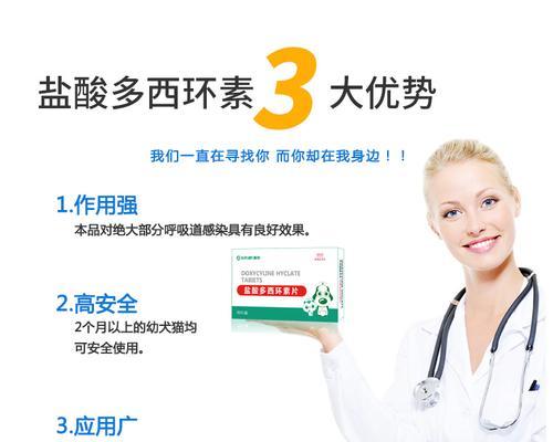 小狗高烧怎么办？教你正确用药治疗！（了解小狗高烧原因，选择合适的药物）