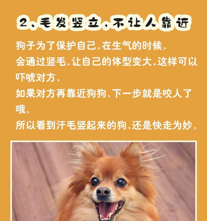 小狗为什么长得慢？（探究小狗成长缓慢的原因及影响）