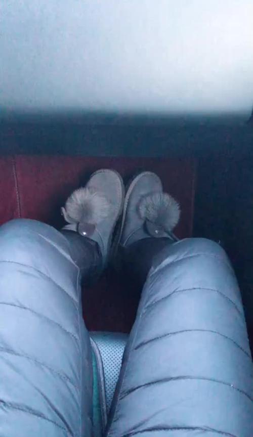 狗身上出汗的原因与机制（探秘狗的排汗方式及其重要性）