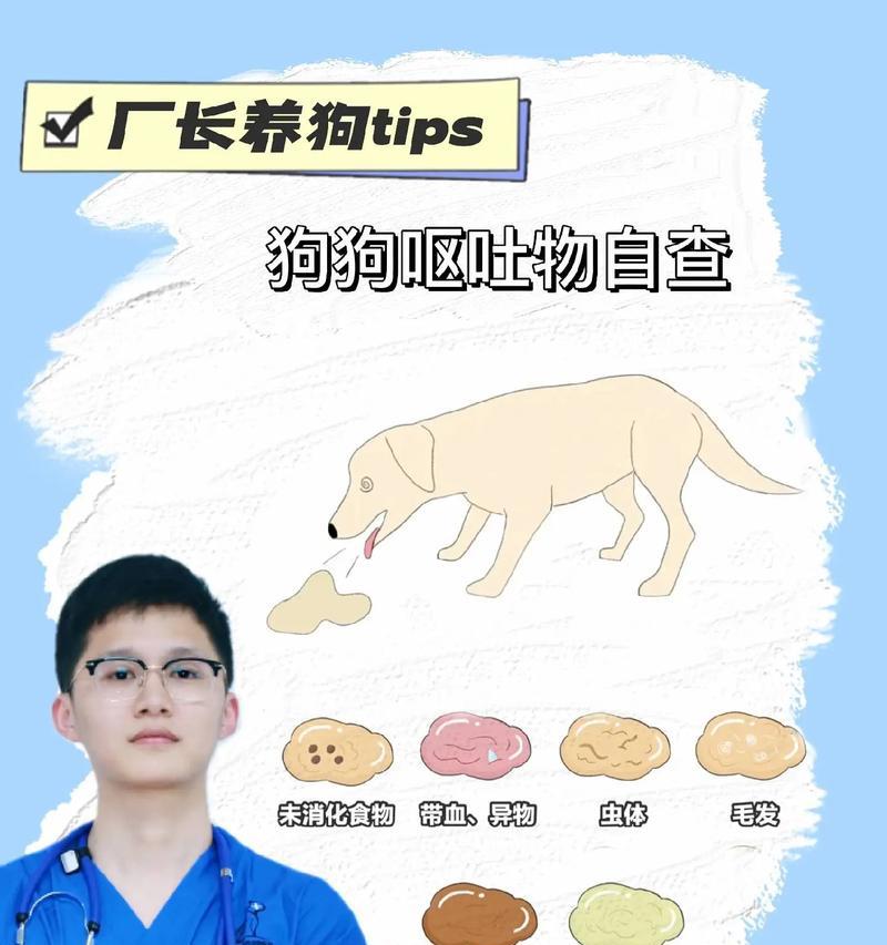 帮助狗狗消化异物的有效方法（保护宠物健康，远离消化问题）