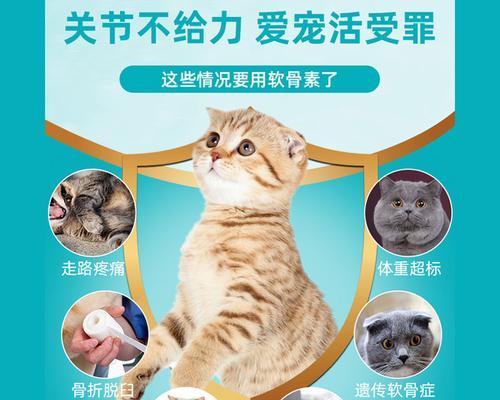 猫骨折的药物治疗（猫骨折需要怎样的药物治疗？关键是选择适合的药物）