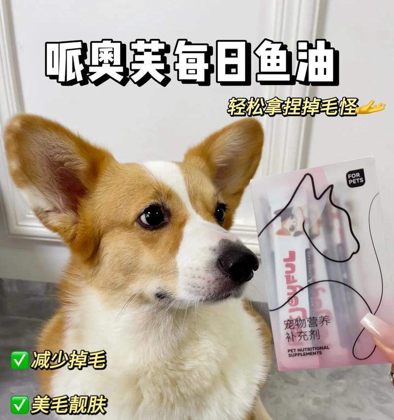 为什么狗会掉毛？（探究狗掉毛的原因和解决方法）