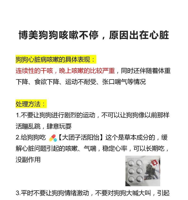 狗咳喘的药物治疗方案（探索有效的狗咳喘药物治疗方法）