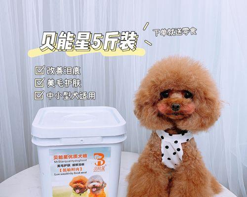 狗狗为什么突然挑食了？（探究狗狗挑食行为的原因及应对方法）