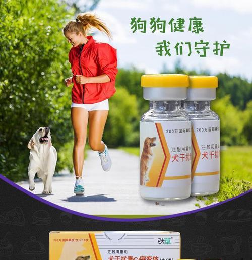 如何正确以细小呕吐喂药剂（掌握正确的喂药技巧，让治疗更有效）