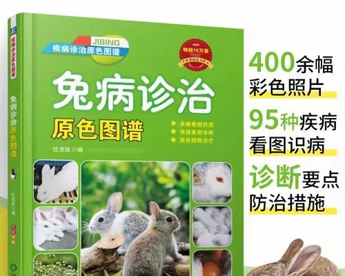 兔子携带的传染病及防治措施（了解兔子常见传染病，保障宠物兔的健康）