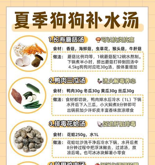 为什么狗狗不爱喝水？（探究狗狗不爱喝水的原因及解决方法）