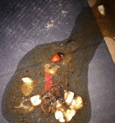 食物中毒引发呕吐的原因（揭开食物中毒背后的真相）