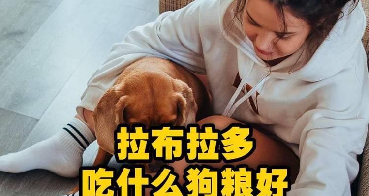 拉布拉多犬的饮食与营养需求（除了狗粮，还有哪些食物适合喂养拉布拉多犬？）
