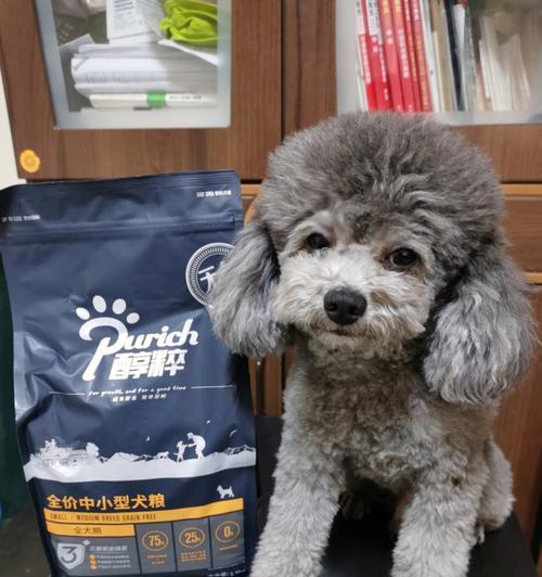 小泰迪的生命在于饮食——了解哪些食物会对它们造成致命危险？（小泰迪的饮食禁忌与食物安全探讨）