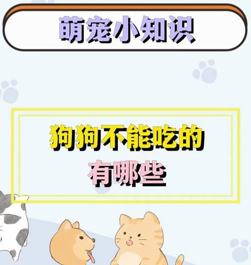 照顾小狗的必备用品（小狗的日常需求及所需物品清单）