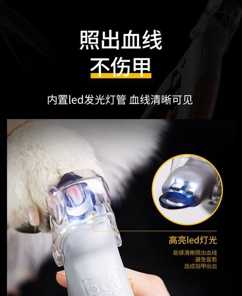 狗指甲出血应急处理方法（用药正确止血保护狗狗爪子健康）
