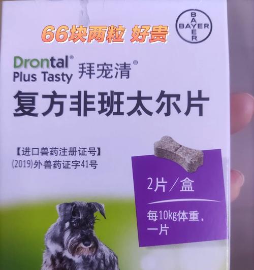 狗狗化痰药品推荐（选择合适的化痰药品，改善狗狗呼吸问题）