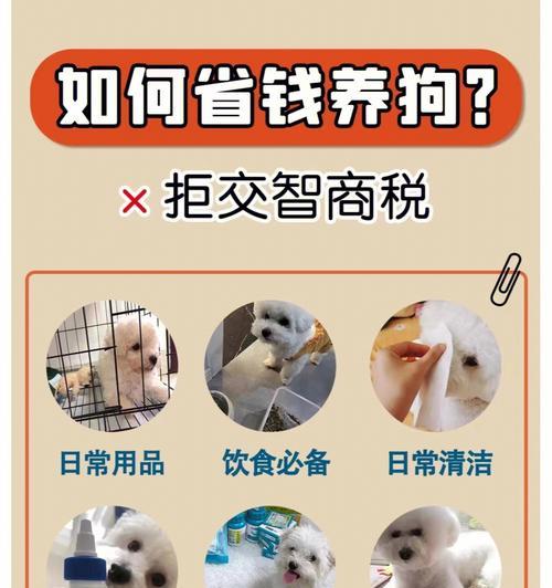 探究狗大肠干燥的原因及预防方法（狗大肠干燥的症状、饮食习惯与治疗方法）