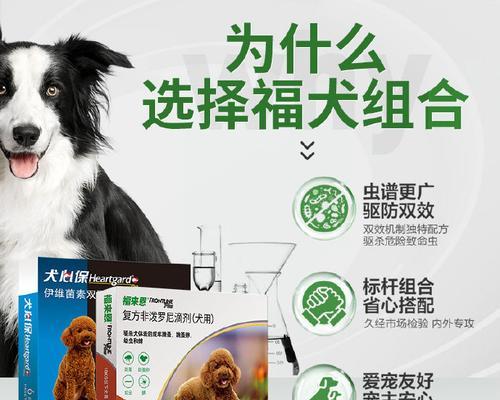 如何有效地清除狗狗身上的跳蚤？（选择适合的防治方法保护狗狗健康）