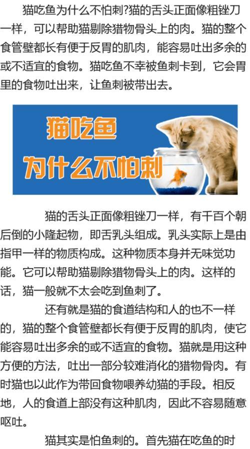为什么猫会清洁自己？（探索猫咪清洁习性的原因及益处）