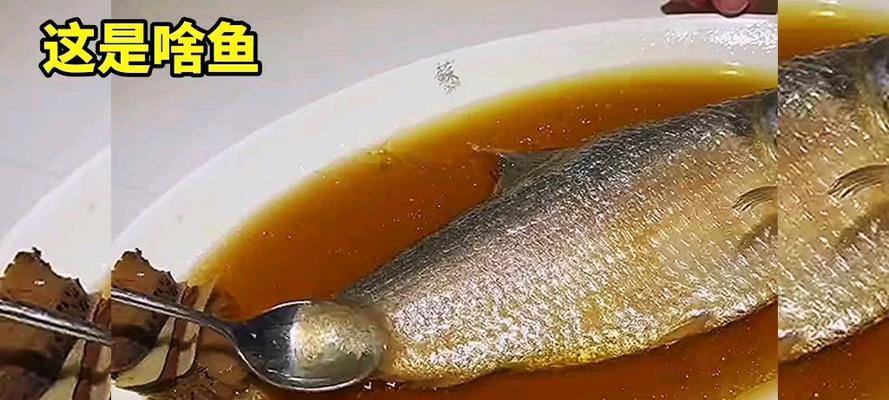 金鱼为何会掉鳞？（探索金鱼掉鳞的原因与预防方法）