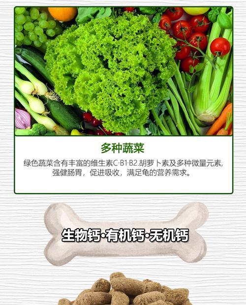 以豹龟的饮食需求与菜肴推荐（一只健康豹龟的饮食秘籍与经验分享）