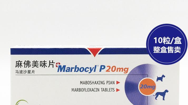 狗狗怀孕期间的消炎药使用指南（选择适用于怀孕狗狗的消炎药品及注意事项）