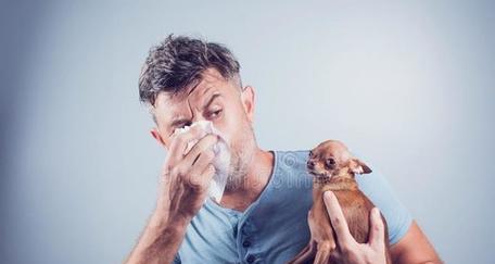 牛流鼻涕喘的病症及治疗方法（了解牛流鼻涕喘，保护牛健康）