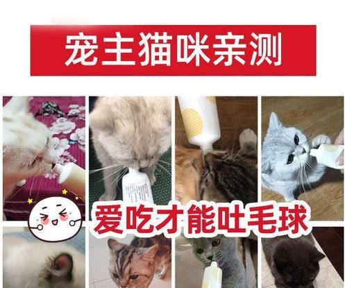 如何选择合适的食物帮助猫咪化毛（为您的猫咪提供健康的食物，让它拥有亮丽的皮毛）