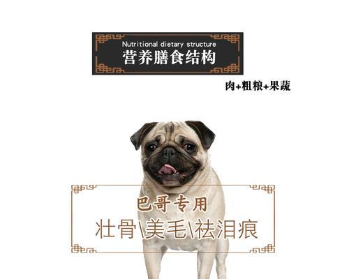 以巴哥从小到大的狗粮选择指南（以巴哥狗粮选择、喂养和健康成长的关键）