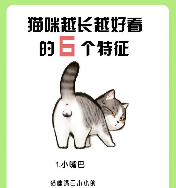 猫的特质（解析猫咪的独特性格和习性）