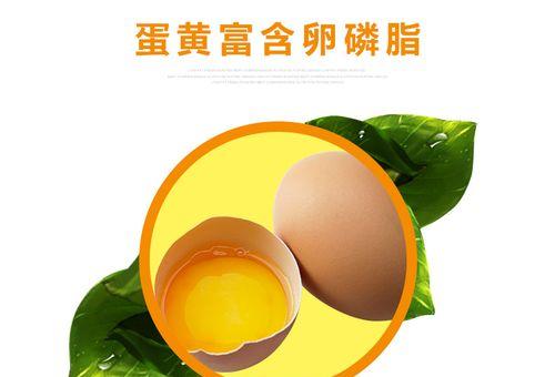 小博美为何钟爱蛋黄（解析小博美对蛋黄的独特偏好）