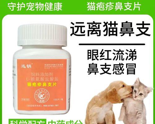 猫咪为何易患鼻炎？（探究猫咪患鼻炎的原因及预防方法）