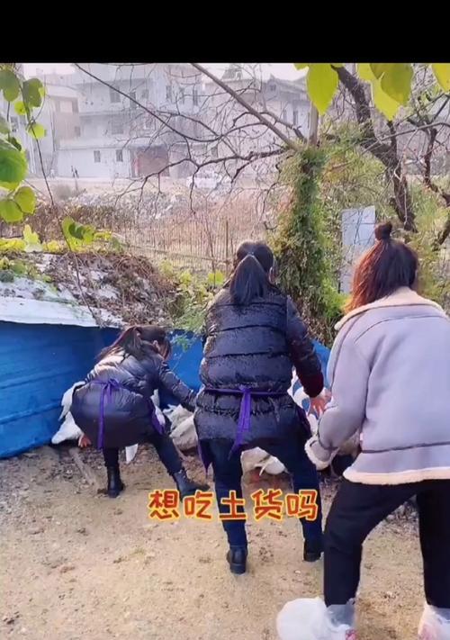 以爱吃土的原因（为什么人们喜欢吃土？土壤的神奇魅力解析）