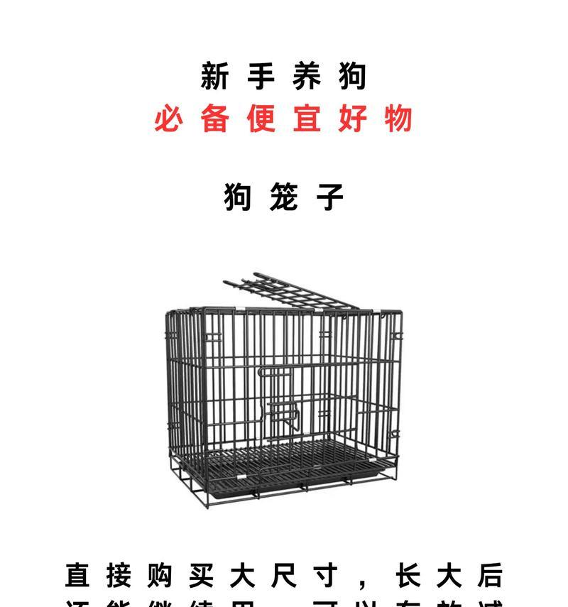 选择适合家庭的经济型犬种（以价格亲民的狗品种为主）