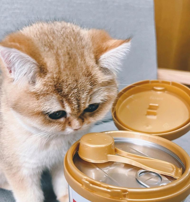 猫喝羊奶粉的最佳品牌选择（哪个牌子的羊奶粉最适合喂养猫？）