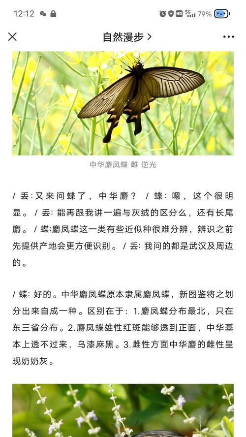 蝴蝶的食物来源与饮食习性（解密蝴蝶的味蕾选择与养分需求）