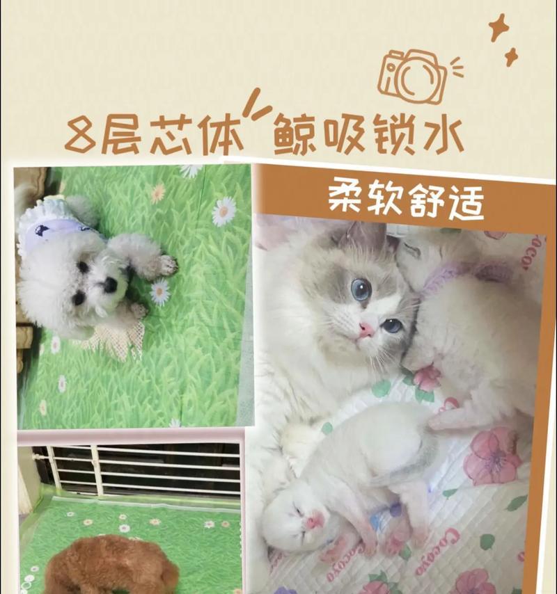 狗狗为什么会用尿垫？（探讨狗狗使用尿垫的原因及益处）