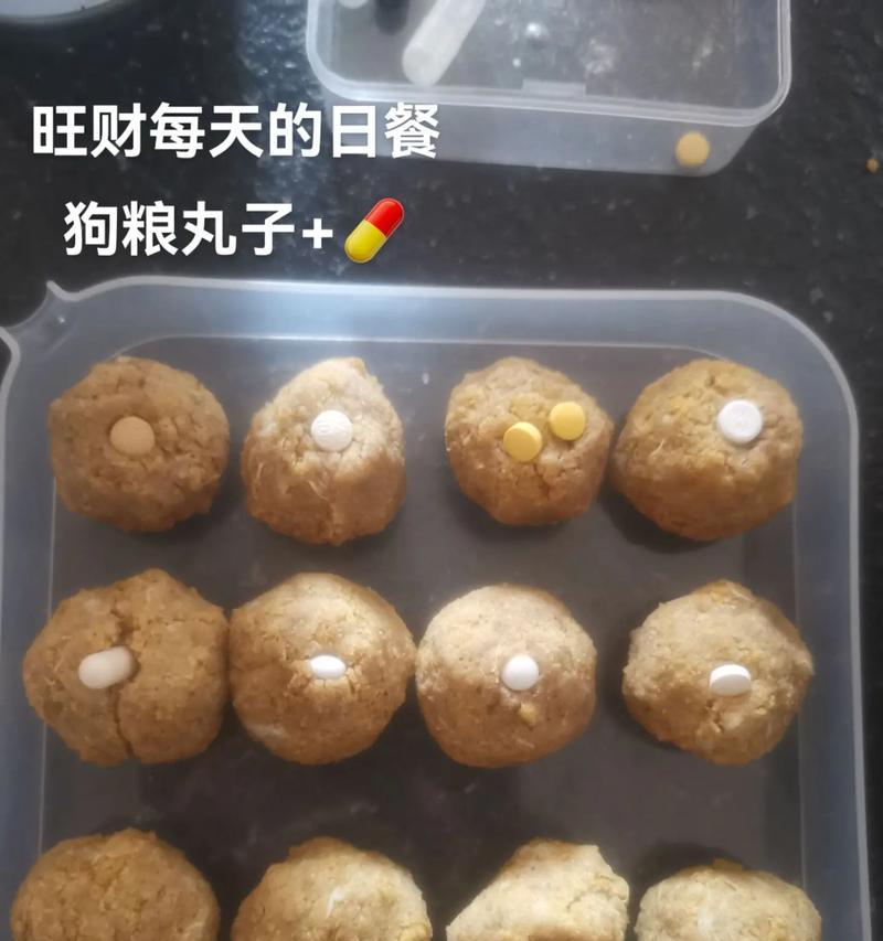 老龄犬如何保持身体健康（探索老龄犬的饮食需求与关键食物）