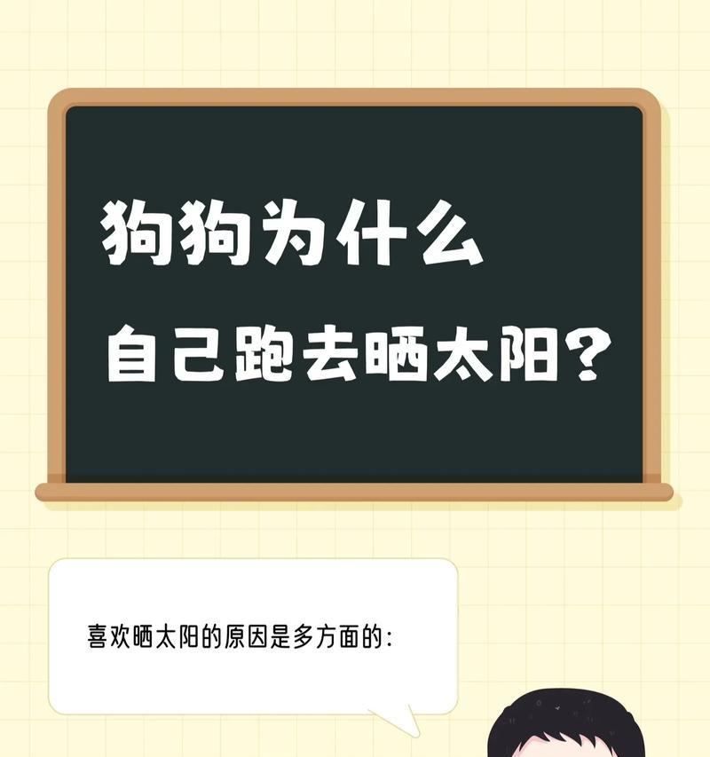 狗叫的原因揭秘（狗叫声背后的语言与情感）