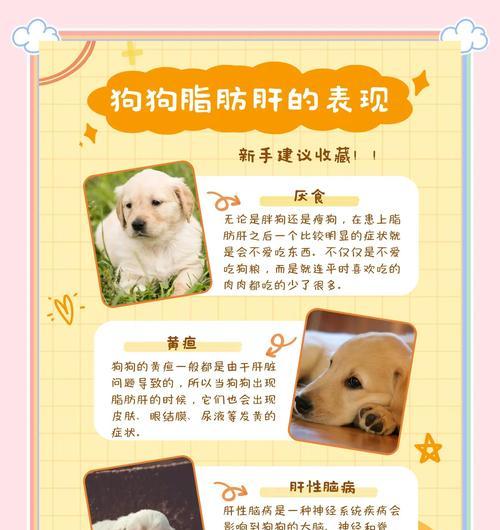 探究狗狗常见疾病及症状（了解狗狗疾病种类及相关症状，保护宠物健康）